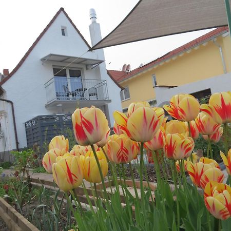 Spira House Leilighet Eksteriør bilde